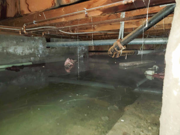 Best Emergency water extraction  in Coldwater, OH