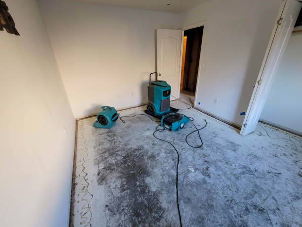 Carpet water damage restoration in OH