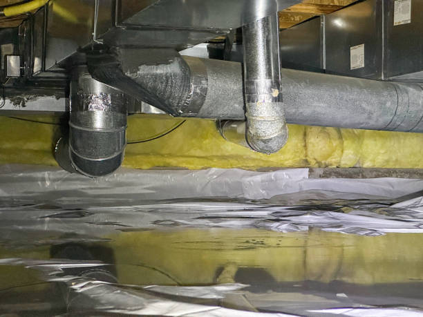 Best Water damage cleanup near me  in Coldwater, OH