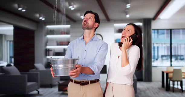 Best Carpet water damage restoration  in Coldwater, OH